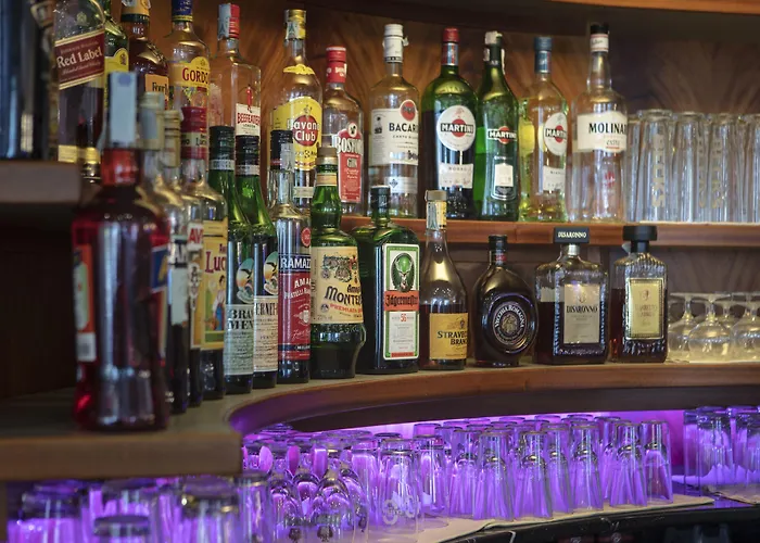 斯玛特假日酒店 4* 梅斯特雷